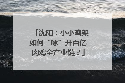 沈阳：小小鸡架如何“啄”开百亿肉鸡全产业链？