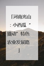 河南光山：小西瓜“撬动”特色农业发展路