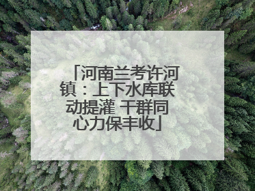 河南兰考许河镇：上下水库联动提灌 干群同心力保丰收