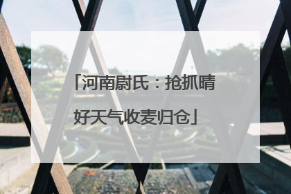 河南尉氏：抢抓晴好天气收麦归仓