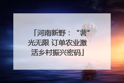河南新野：“薯”光无限 订单农业激活乡村振兴密码