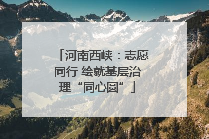 河南西峡：志愿同行 绘就基层治理“同心圆”