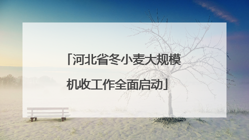河北省冬小麦大规模机收工作全面启动