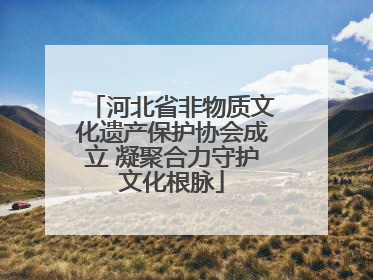 河北省非物质文化遗产保护协会成立 凝聚合力守护文化根脉