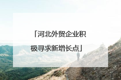 河北外贸企业积极寻求新增长点
