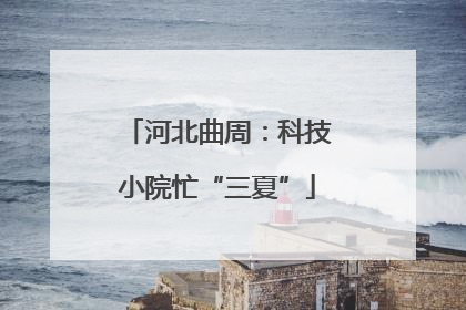 河北曲周：科技小院忙“三夏”