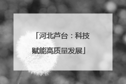 河北芦台：科技赋能高质量发展