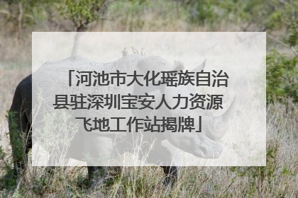 河池市大化瑶族自治县驻深圳宝安人力资源飞地工作站揭牌