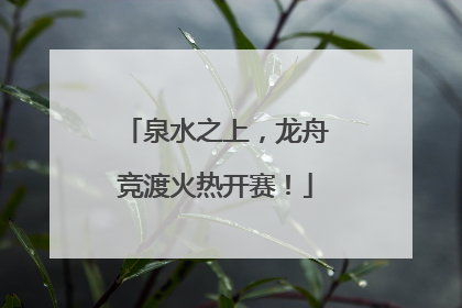 泉水之上，龙舟竞渡火热开赛！