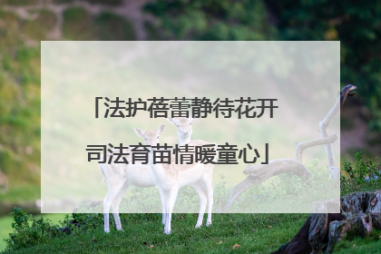 法护蓓蕾静待花开 司法育苗情暖童心