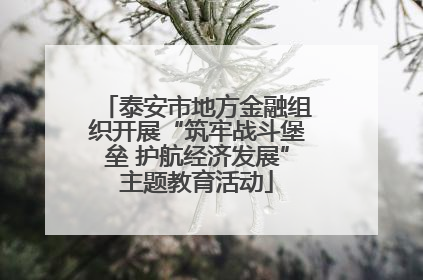 泰安市地方金融组织开展“筑牢战斗堡垒 护航经济发展”主题教育活动