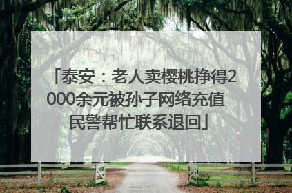 泰安：老人卖樱桃挣得2000余元被孙子网络充值 民警帮忙联系退回