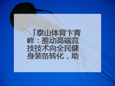 泰山体育卞青峰：推动高端竞技技术向全民健身装备转化，助力乡村振兴