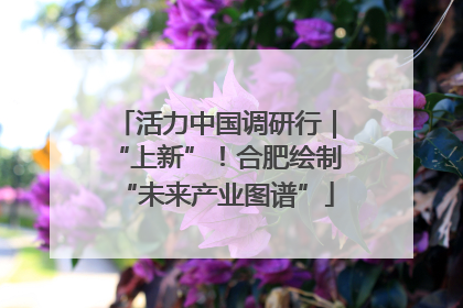活力中国调研行｜“上新”！合肥绘制“未来产业图谱”