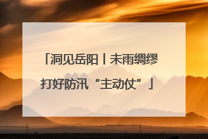 洞见岳阳丨未雨绸缪 打好防汛“主动仗”