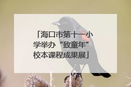 海口市第十一小学举办“致童年”校本课程成果展