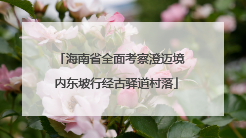 海南省全面考察澄迈境内东坡行经古驿道村落