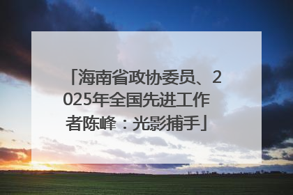 海南省政协委员、2025年全国先进工作者陈峰：光影捕手
