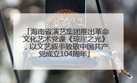 海南省演艺集团推出革命文化艺术党课《琼崖之光》，以文艺叙事致敬中国共产党成立104周年