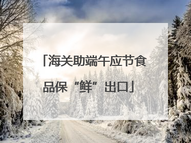 海关助端午应节食品保“鲜”出口