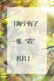 海宁有了一张“芯”名片