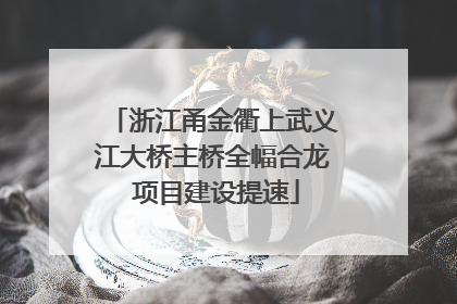 浙江甬金衢上武义江大桥主桥全幅合龙 项目建设提速