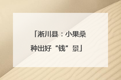 淅川县：小果桑种出好“钱”景