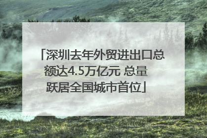 深圳去年外贸进出口总额达4.5万亿元 总量跃居全国城市首位