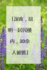深夜，昆明一居民楼内，30余人被抓