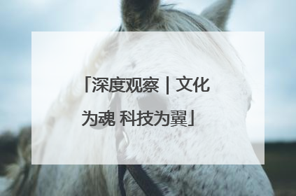 深度观察｜文化为魂 科技为翼