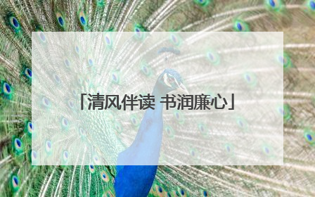 清风伴读 书润廉心
