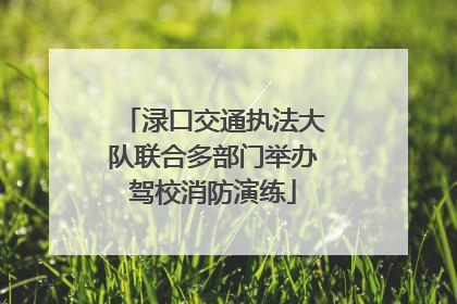 渌口交通执法大队联合多部门举办驾校消防演练