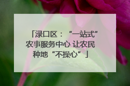 渌口区：“一站式”农事服务中心 让农民种地“不操心”