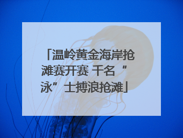 温岭黄金海岸抢滩赛开赛 千名“泳”士搏浪抢滩