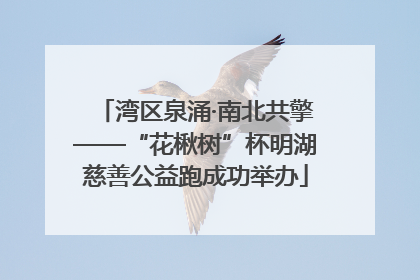 湾区泉涌·南北共擎——“花楸树”杯明湖慈善公益跑成功举办