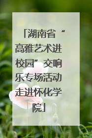湖南省“高雅艺术进校园”交响乐专场活动走进怀化学院