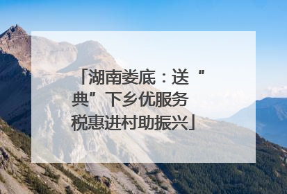 湖南娄底：送“典”下乡优服务 税惠进村助振兴