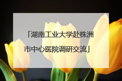 湖南工业大学赴株洲市中心医院调研交流