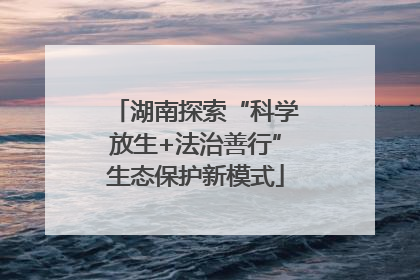 湖南探索“科学放生+法治善行”生态保护新模式