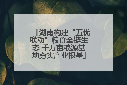 湖南构建“五优联动”粮食全链生态 千万亩粮源基地夯实产业根基