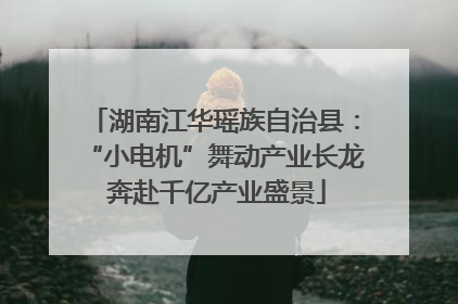 湖南江华瑶族自治县：“小电机”舞动产业长龙 奔赴千亿产业盛景
