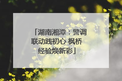 湖南湘潭：警调联动践初心 枫桥经验焕新彩