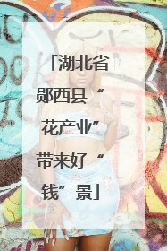 湖北省郧西县“花产业”带来好“钱”景