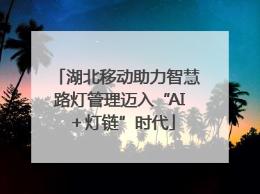 湖北移动助力智慧路灯管理迈入“AI＋灯链”时代
