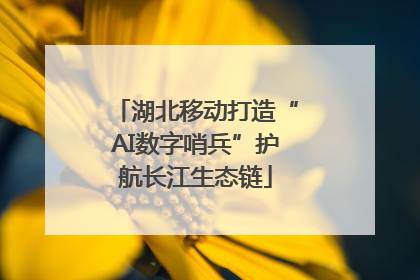 湖北移动打造“AI数字哨兵”护航长江生态链