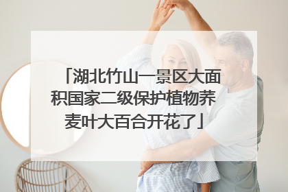 湖北竹山一景区大面积国家二级保护植物荞麦叶大百合开花了