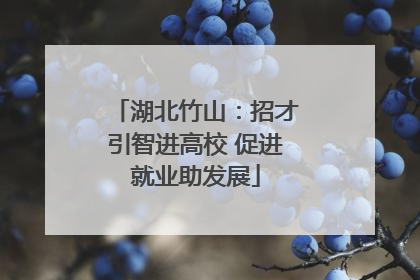 湖北竹山：招才引智进高校 促进就业助发展