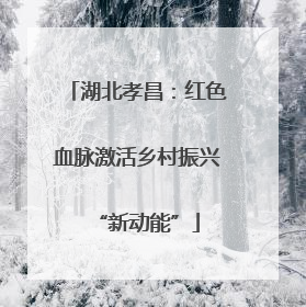 湖北孝昌：红色血脉激活乡村振兴“新动能”