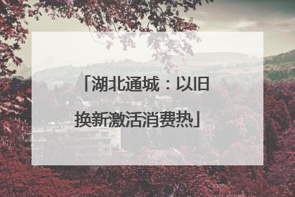 湖北通城：以旧换新激活消费热
