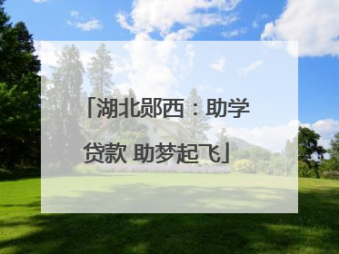 湖北郧西：助学贷款 助梦起飞